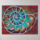 Suche nach ammonit Nautilus