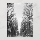 Suche nach winterbaum postkarten Kalt