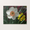 Suche nach gelbe narzisse puzzle Natur