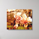 Suche nach magnolien leinwandbilder Rosa
