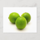 Suche nach persischer postkarten Weiß