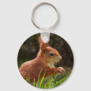 Suche nach rotes eichhörnchen schlüsselanhänger Tierwelt
