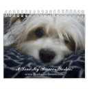 Suche nach terrier kalender Yorkie