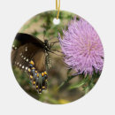 Suche nach distel ornamente Lila
