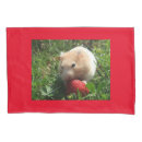 Suche nach hammie Niedlich