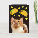 Suche nach tacos karten Katze