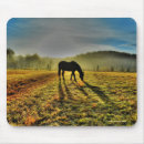 Suche nach glückliches pferd mousepads Pferdefotografie