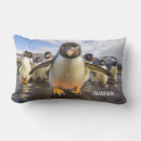 Suche nach der pinguin kissen Jede person