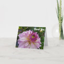 Suche nach dahlien karten Rosa