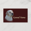 Suche nach labrador retriever visitenkarten Labradore