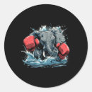 Suche nach kickboxer aufkleber Kampfsport