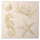 Suche nach seestern fliesen Sandsand