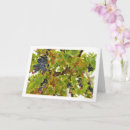 Suche nach rote trauben karten Lebensmittel