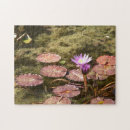 Suche nach wasserlilien puzzle Teich