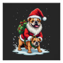 Suche nach englische bulldogge poster Welpe