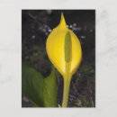 Suche nach sklave postkarten Schlampig