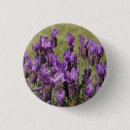 Suche nach wiesen buttons Für sie