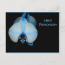 Suche nach blaue orchideen postkarten Jede person