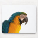 Suche nach ara mousepads Tiere