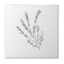 Suche nach kraut fliesen Rosmarin