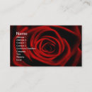 Suche nach romantische rote rose visitenkarten Rosen