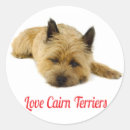 Suche nach terrier aufkleber Welpe