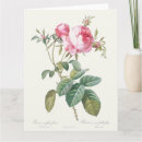 Suche nach pierre joseph redoute karten Rose