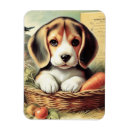 Suche nach beagle magnete Niedlich