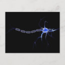 Suche nach neuron postkarten Biologie