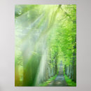 Suche nach landstraße poster Wald