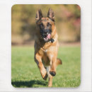 Suche nach dog german mousepads Tier
