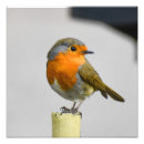 Suche nach brust poster Für alle