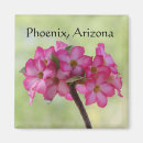 Suche nach phoenix magnete Arizona