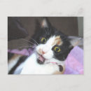 Suche nach mund offen postkarten Katze