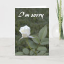 Suche nach rosenknospen karten Weiß