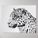 Suche nach schwarzer leopard poster Für alle