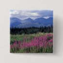 Suche nach yukon buttons Nationalpark
