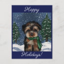 Suche nach yorkshire postkarten Yorkie