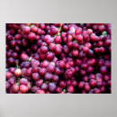 Suche nach rotwein poster Vintag