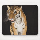 Suche nach plattformen mousepads Majestätisch