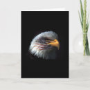 Suche nach irak karten Armee