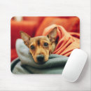 Suche nach pinscher mousepads Haustiere