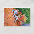 Suche nach aceo Aceum