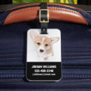 Suche nach corgi gepäckanhänger Haustier