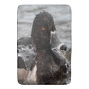 Suche nach enten badematten Natur