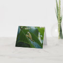 Suche nach wanze karten Betender mantis