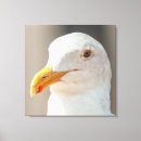 Suche nach profil leinwandbilder Kopf