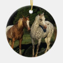 Suche nach appaloosa ornamente Pferd