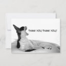 Suche nach lustige diva karten Kitty