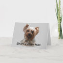 Suche nach yorkshire terrier karten Welpe